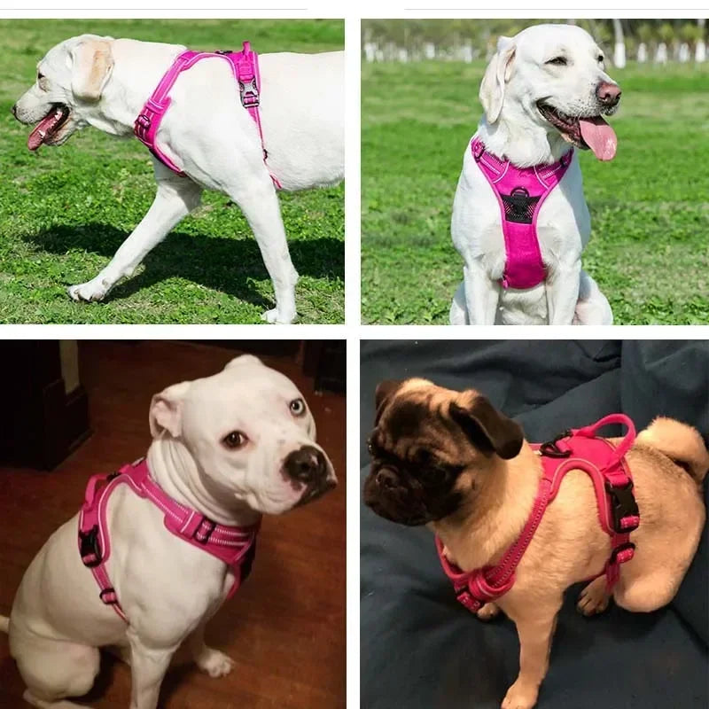 Reflective Adjustable Breathable Vest Harness - Perfect for Dogs and Cats